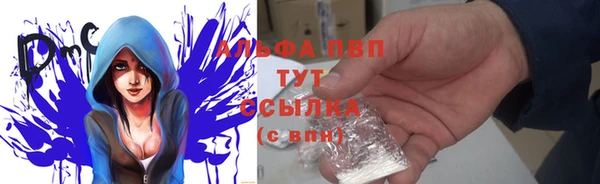 винт Баксан